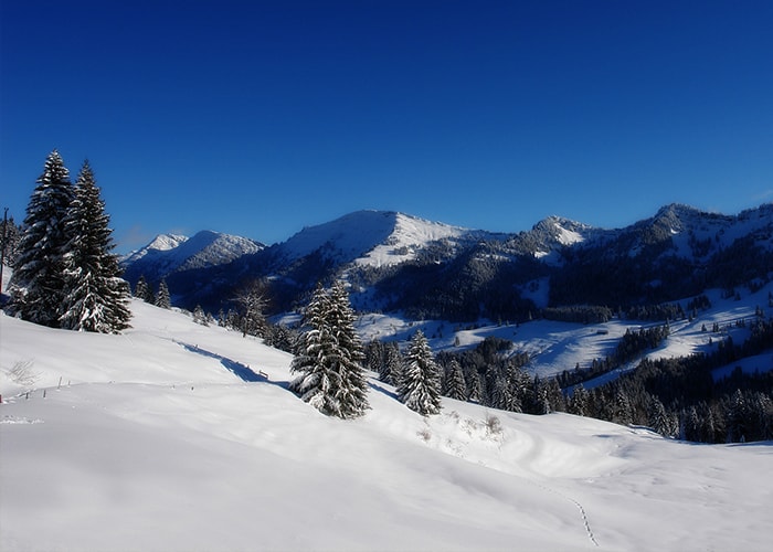Manali Tour Package